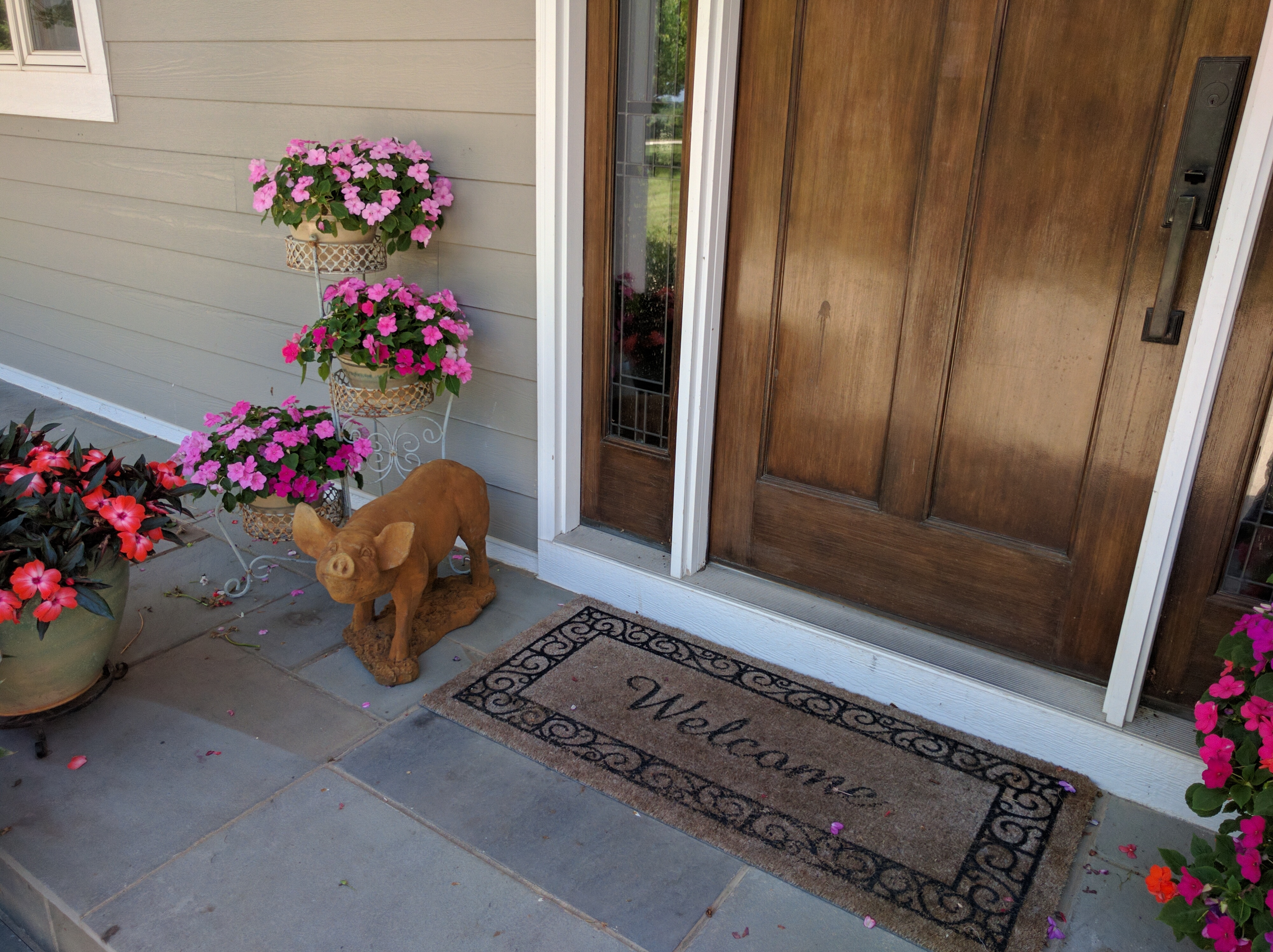 A pig on a porch